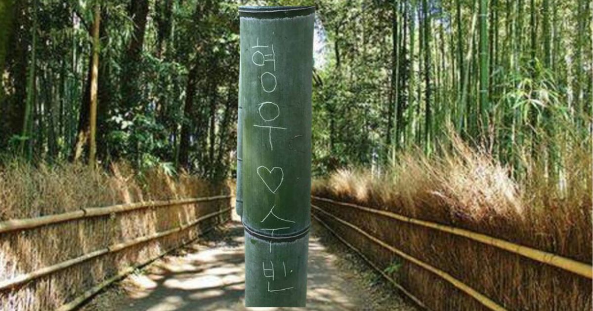 京都インバウンド迷惑行為のイメージ画像