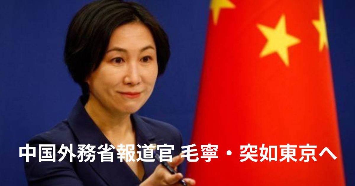 中国報道官毛寧が東京に到着？のイメージ画像