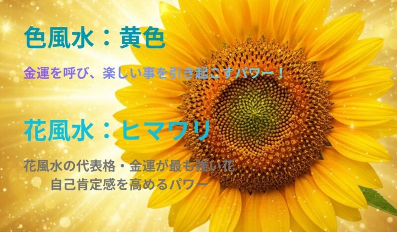 色彩風水、花風水の代表格ひまわりのイメージ画像