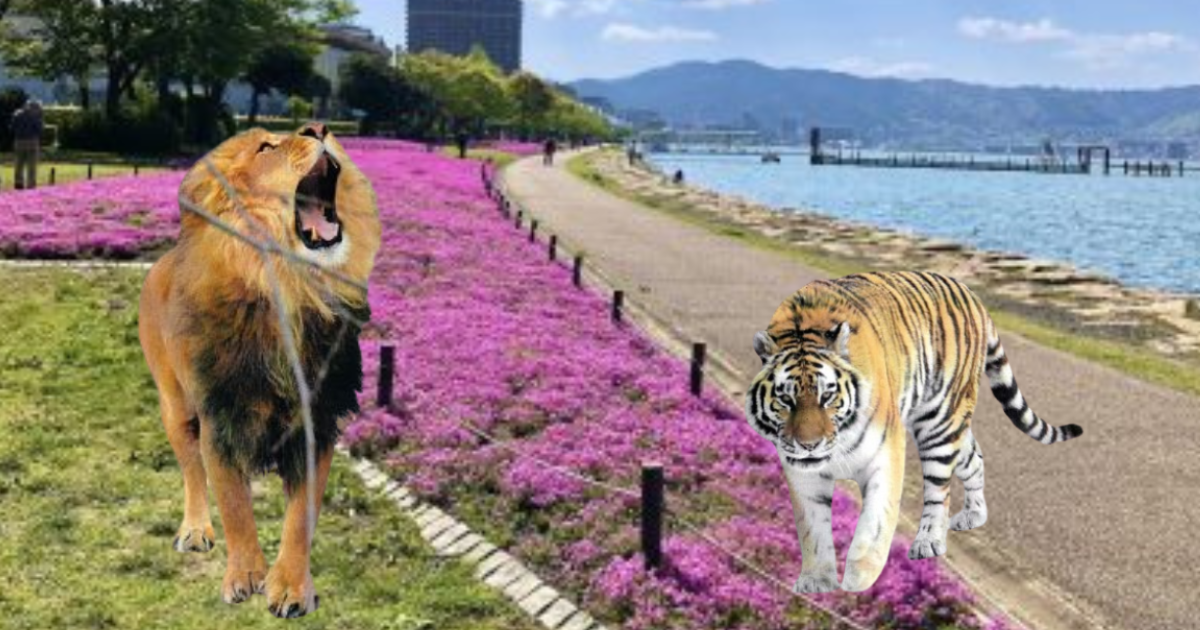 大津市なぎさ公園とライオン虎AI画像